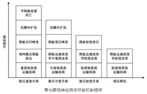 金沙澳门(中国)唯一官方网站学术课堂:眼颅压力梯度在青光眼视神经损伤机制中作用2.png 金沙澳门(中国)唯一官方网站学术课堂:眼颅压力梯度在青光眼视神经损伤机制中作用2.png