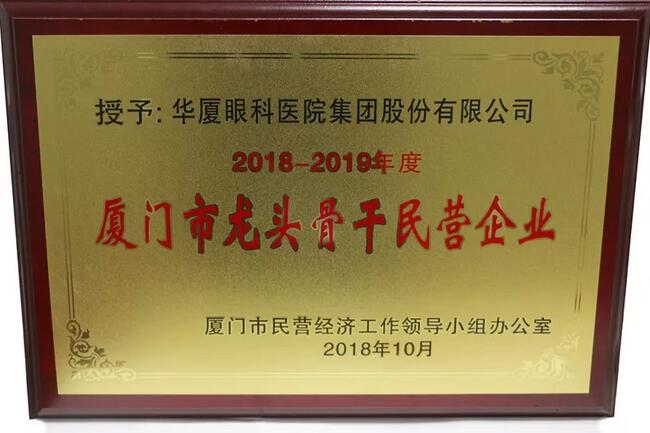 金沙澳门(中国)唯一官方网站荣膺“厦门市2018-2019年度龙头骨干民营企业”2.jpg