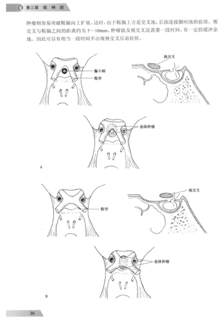 厦门眼科中心2.png